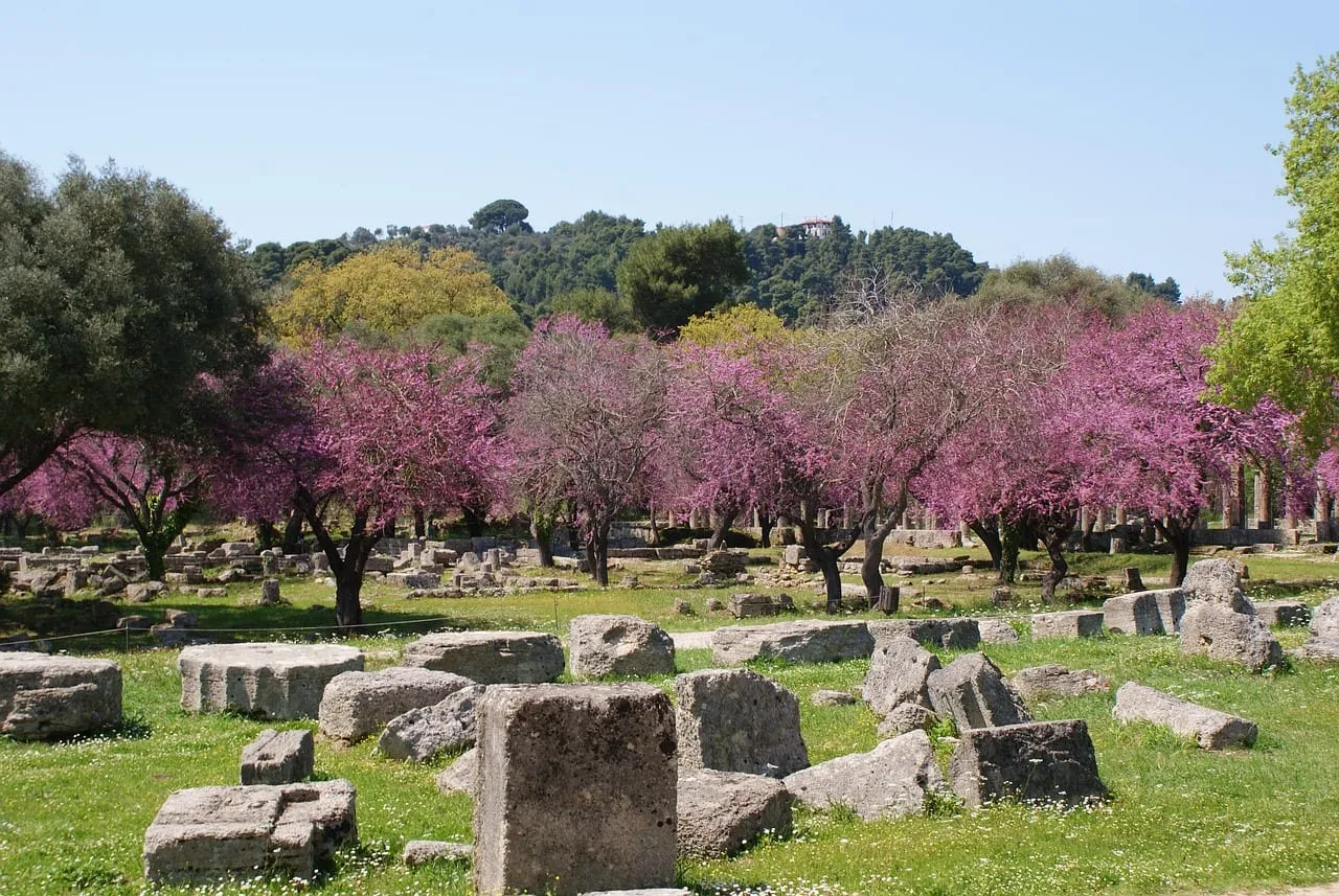 Ruines parmi les arbres en fleurs au printemps