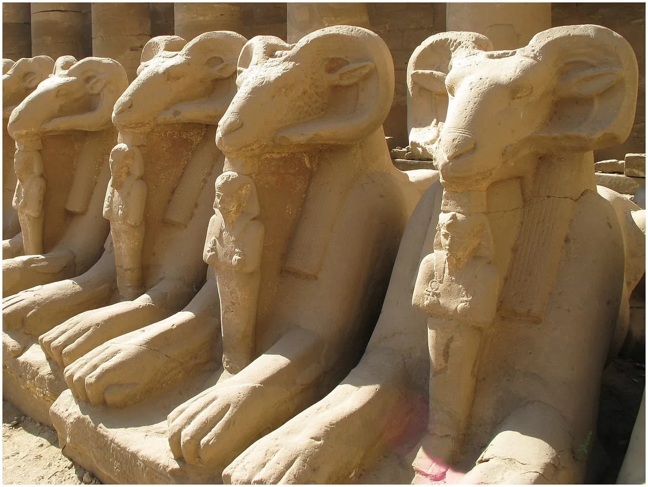 Une rangée de sphinx à tête de bélier