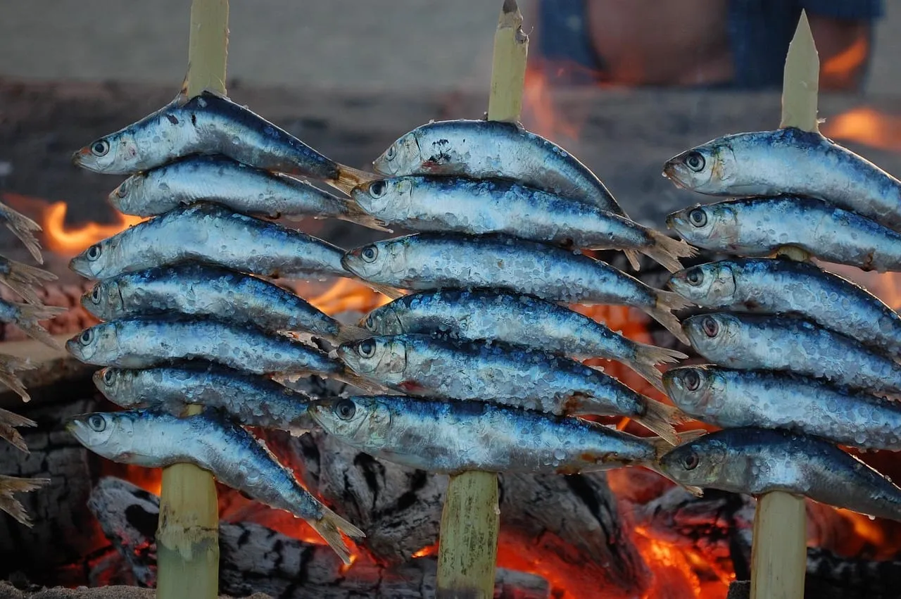 Espetos : sardines grillées sur des brochettes de roseau au feu de bois