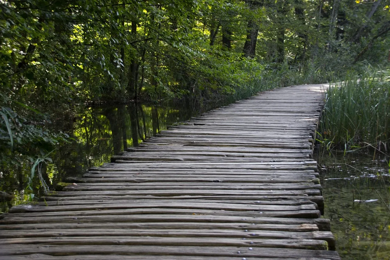 Une passerelle en bois au-dessus de l’eau